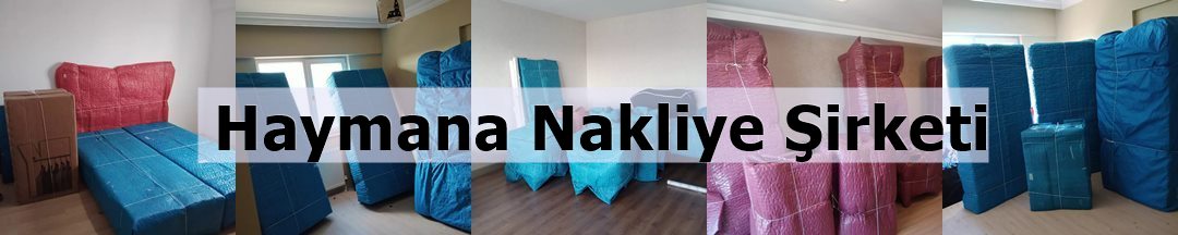 Haymana Nakliyat görseli